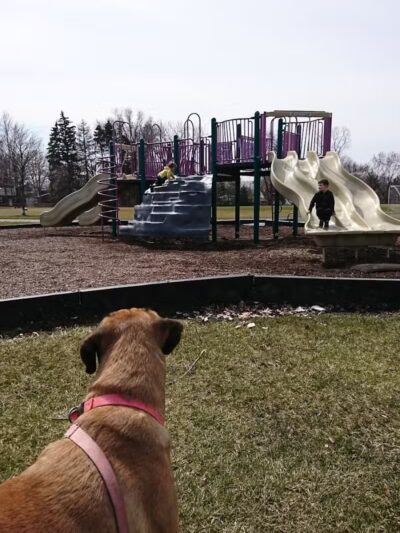 Rotary Park - Garden City,