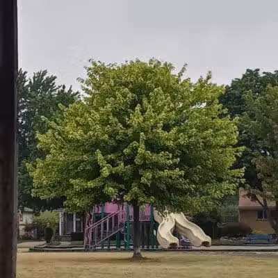 Rotary Park - Garden City,