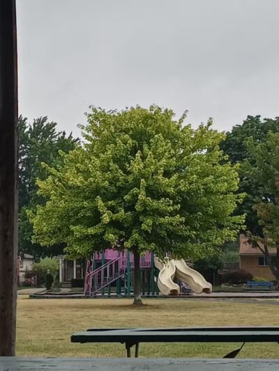 Rotary Park - Garden City,