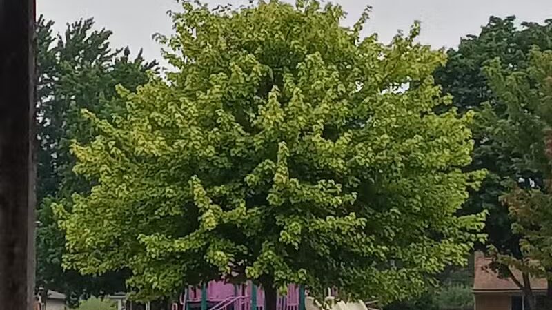 Rotary Park - Garden City,