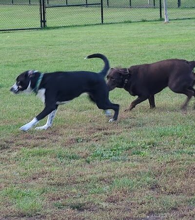Pulaski Playground & Dog Park - Gardner, MA