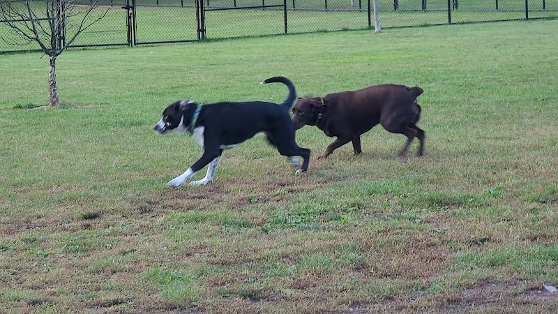 Pulaski Playground & Dog Park - Gardner, MA