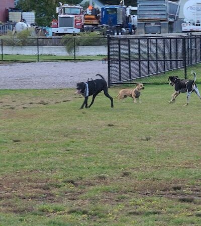 Pulaski Playground & Dog Park - Gardner, MA