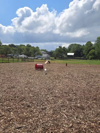 Pulaski Playground & Dog Park - Gardner, MA