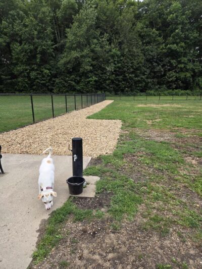 Pulaski Playground & Dog Park - Gardner, MA