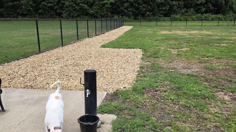 Pulaski Playground & Dog Park - Gardner, MA