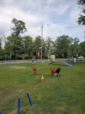 Elmwood Park Dog Park - Garfield, NJ