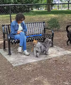 North Garner Dog Park - Garner, NC