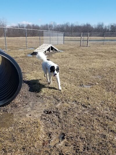 Dog Park - Garrett, IN
