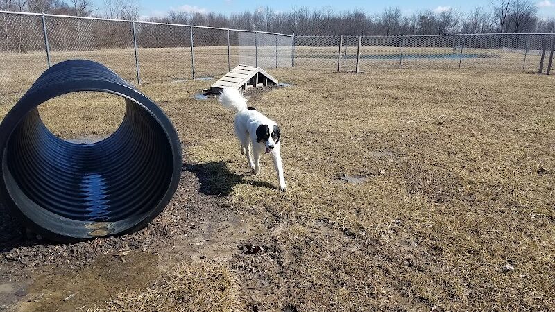 Dog Park - Garrett, IN