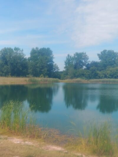 Dog Park - Garrett, IN