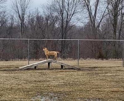 Dog Park - Garrett, IN