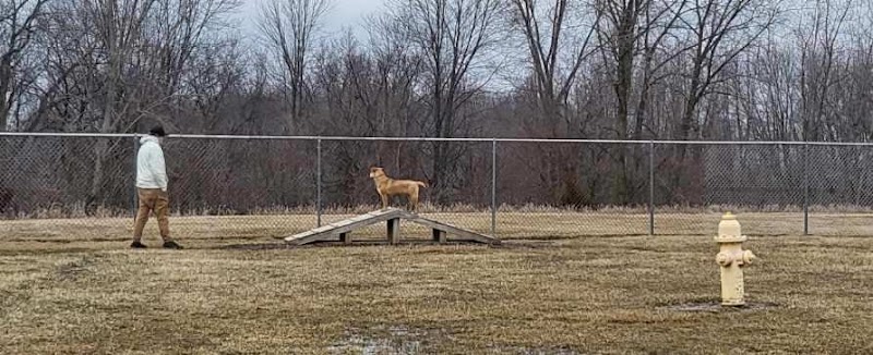 Dog Park - Garrett, IN