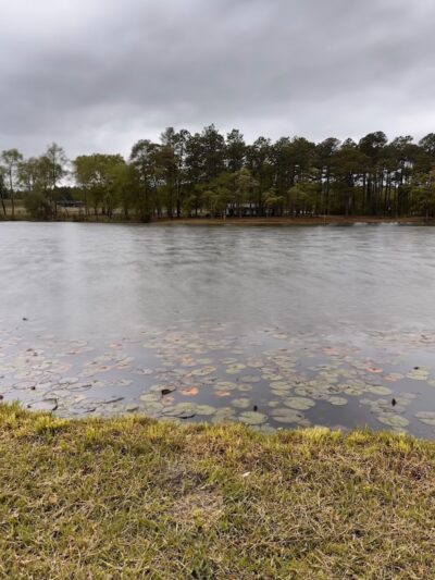 Heyward Community Park - Gaston, SC