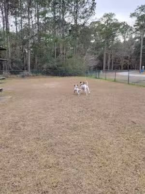 Shepard Park Bark Park - Gautier, MS