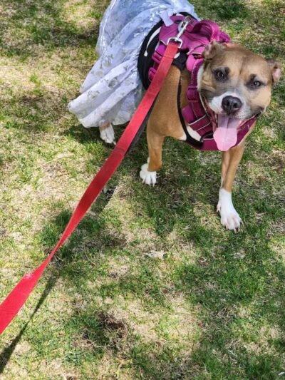 Doumas Park - Gaylord, MI