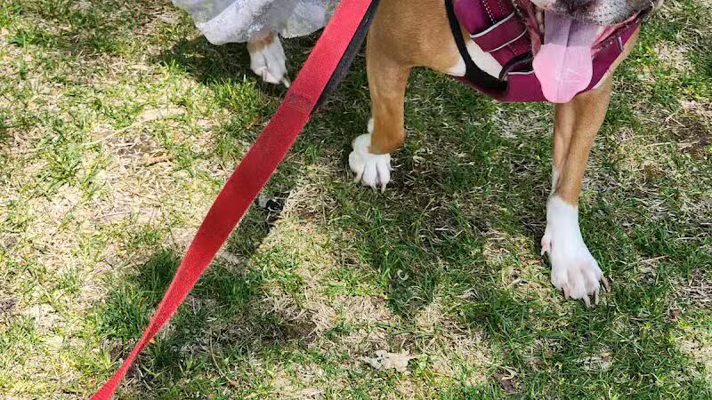 Doumas Park - Gaylord, MI