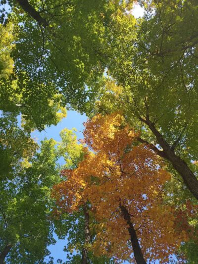 Doumas Park - Gaylord, MI