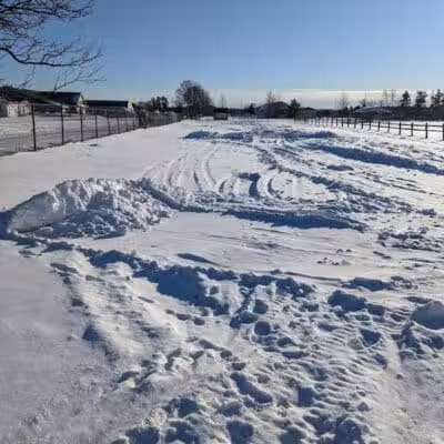 Otsego County Dog Park - Gaylord, MI