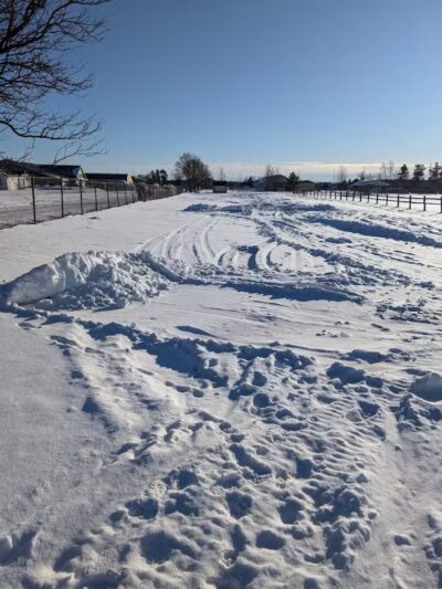 Otsego County Dog Park - Gaylord, MI