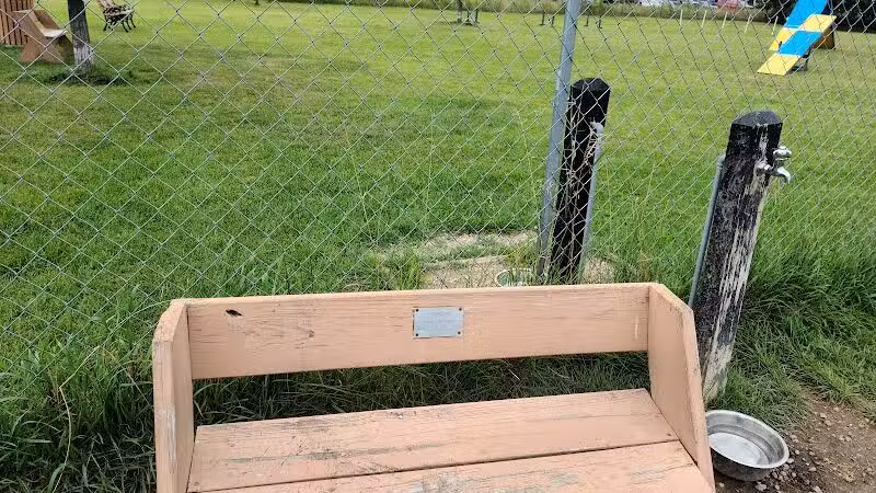 Otsego County Dog Park - Gaylord, MI