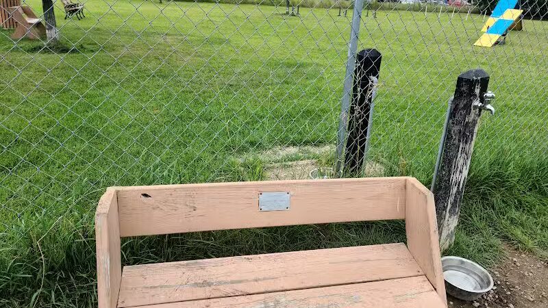 Otsego County Dog Park - Gaylord, MI