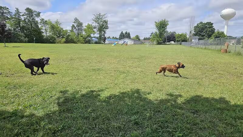 Otsego County Dog Park - Gaylord, MI