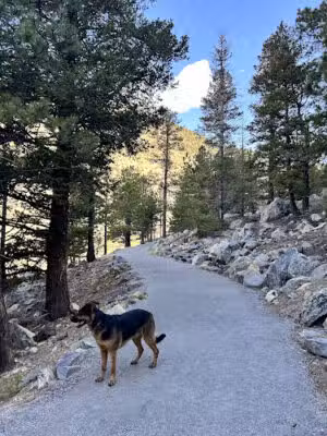 Lake Park - Georgetown, CO