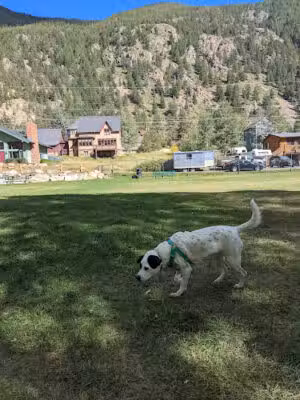 Werlin Park - Georgetown, CO