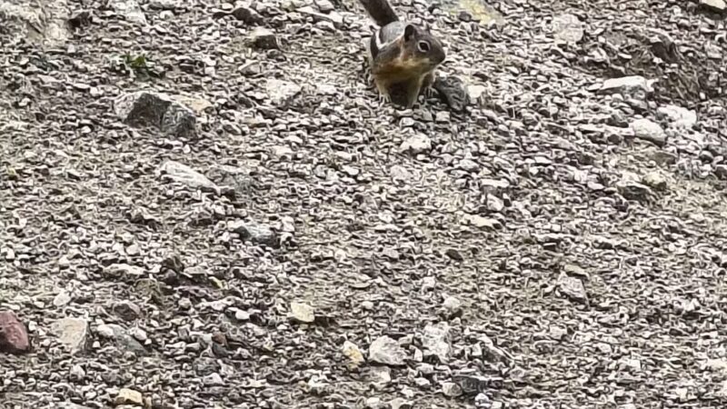 Lake Park - Georgetown, CO