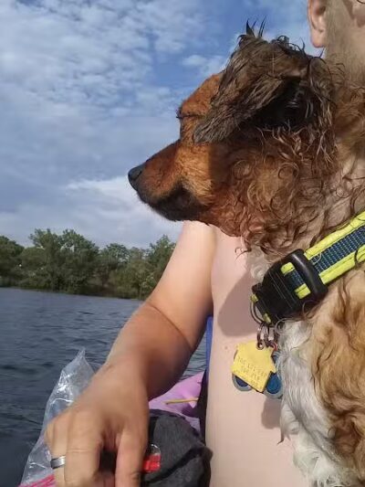 Georgetown Trails - Georgetown Township,