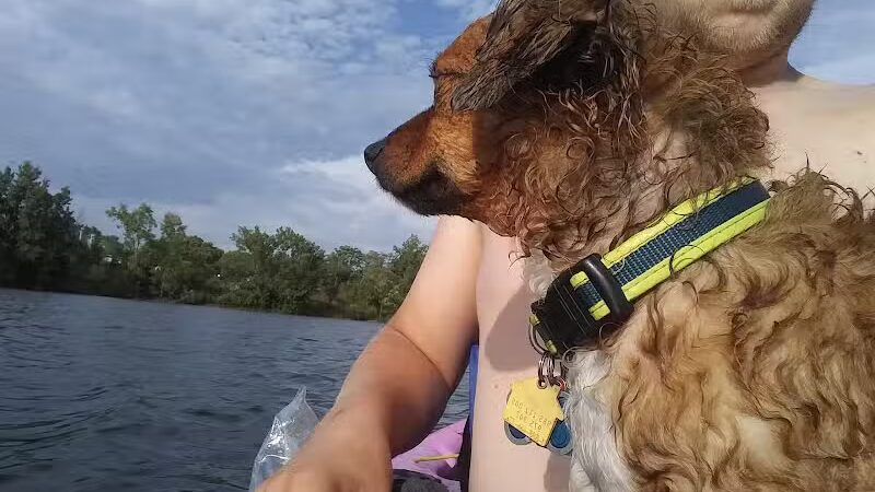 Georgetown Trails - Georgetown Township,