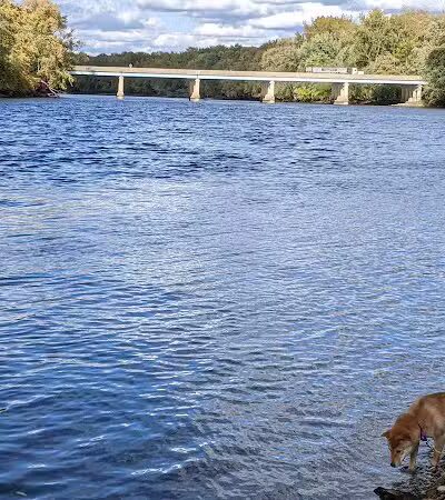 Georgetown Trails - Georgetown Township,