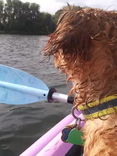 Georgetown Trails - Georgetown Township,