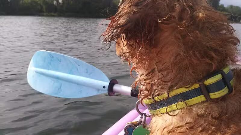 Georgetown Trails - Georgetown Township,