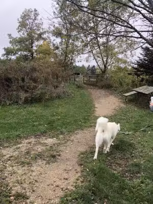 Homestead Howl Dog Park - Germantown, WI