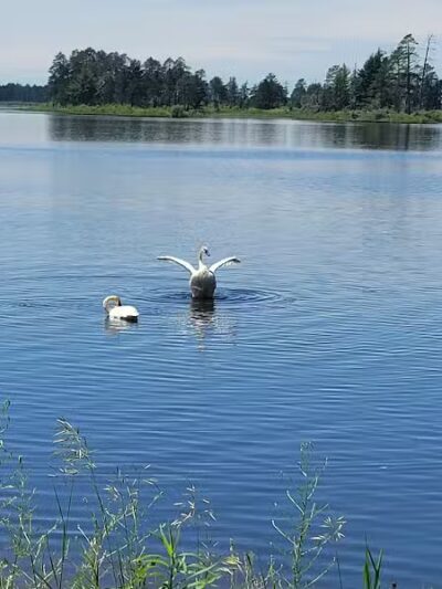 Seney National Wildlife Refuge - Main Unit - Germfask,