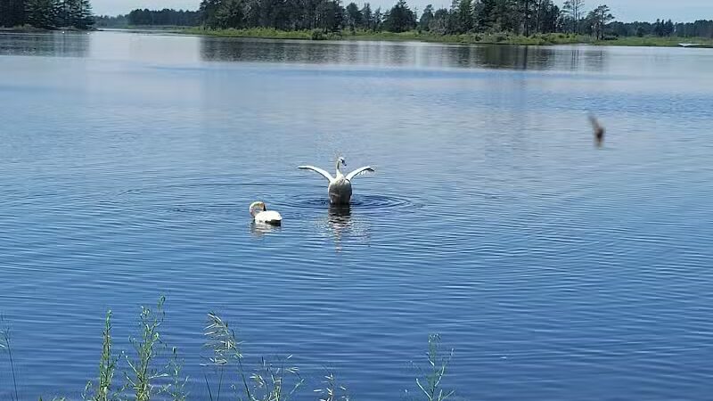Seney National Wildlife Refuge - Main Unit - Germfask,