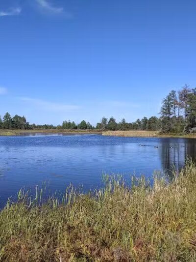 Seney National Wildlife Refuge - Main Unit - Germfask,