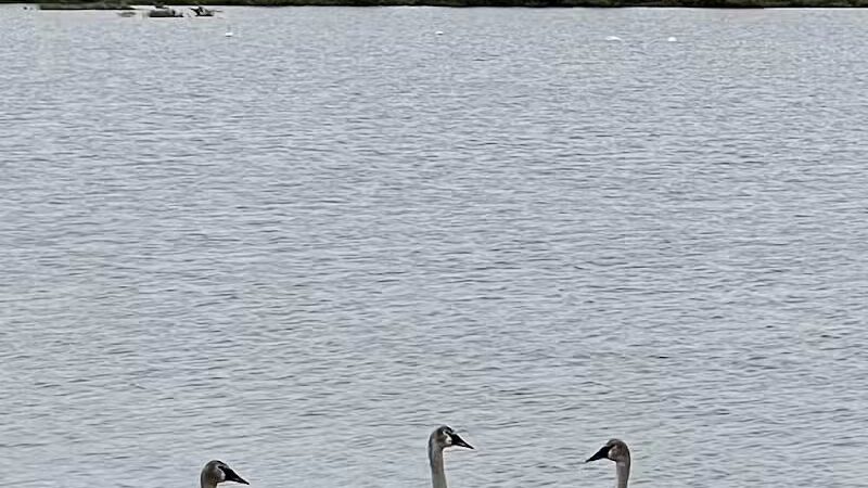 Seney National Wildlife Refuge - Main Unit - Germfask,