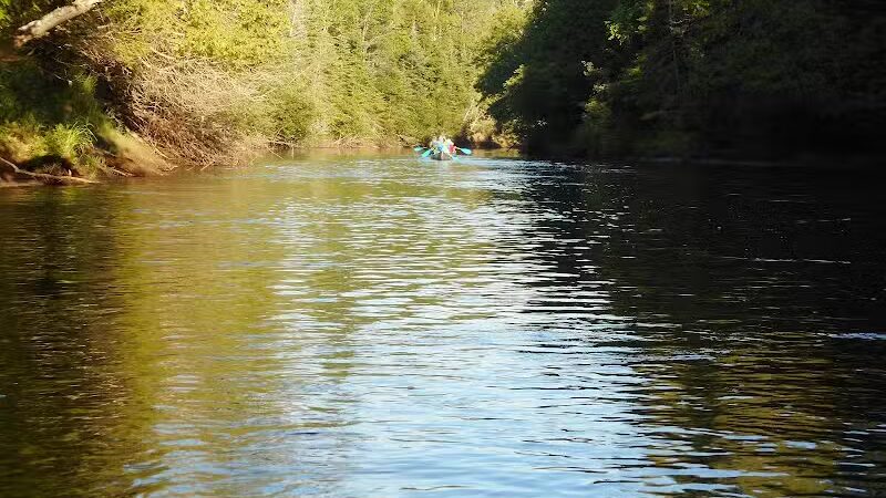 Seney National Wildlife Refuge - Main Unit - Germfask,
