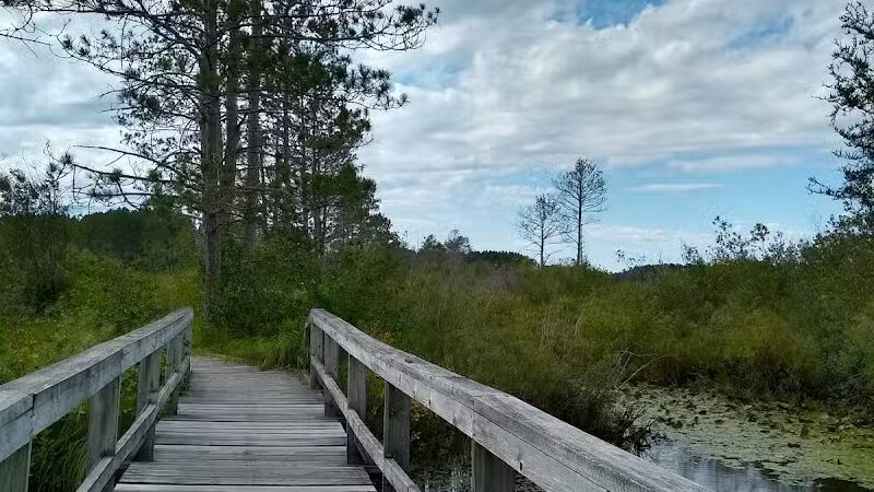 Seney National Wildlife Refuge - Main Unit - Germfask,