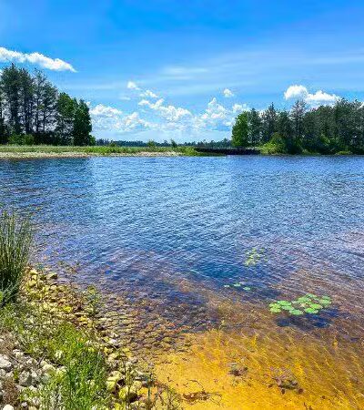 Seney National Wildlife Refuge - Main Unit - Germfask,