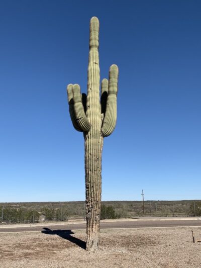 Gila Bend 9/11 Memorial Park - Gila Bend, AZ