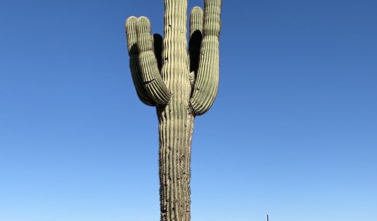 Gila Bend 9/11 Memorial Park - Gila Bend, AZ