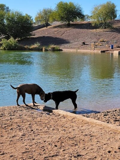 Cosmo Dog Park - Gilbert, AZ