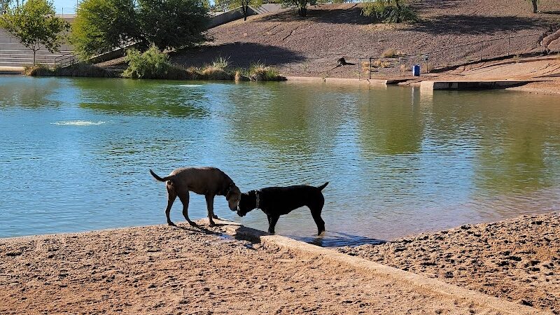 Cosmo Dog Park - Gilbert, AZ