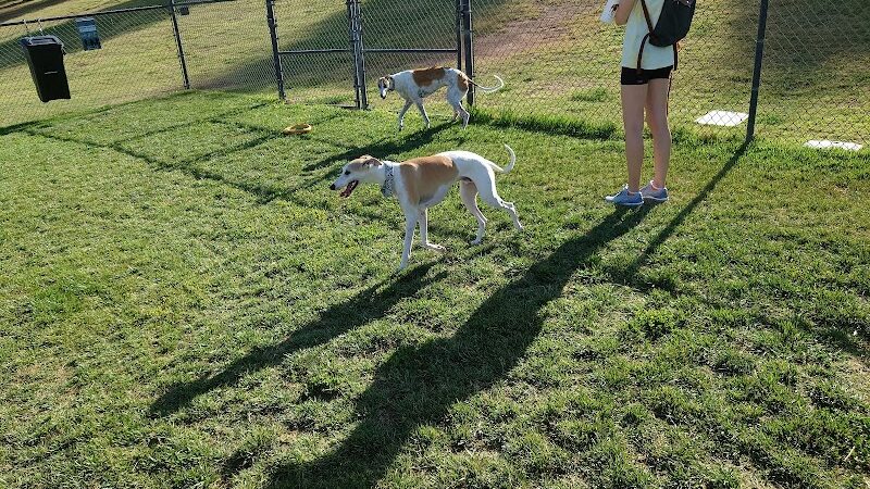 Cosmo Dog Park - Gilbert, AZ