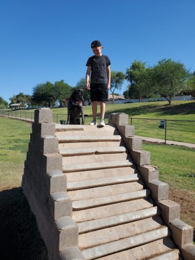 Cosmo Dog Park - Gilbert, AZ