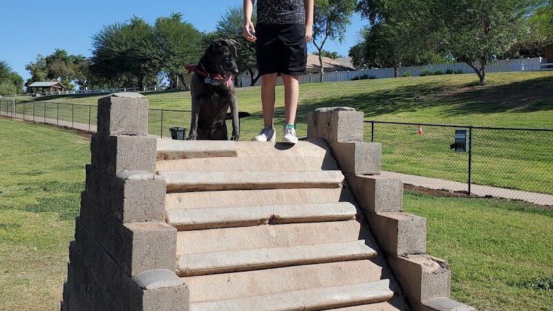 Cosmo Dog Park - Gilbert, AZ